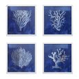 White Coral Wall Art By Best Price Furniture